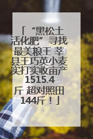 “黑松土 活化肥”寻找最美粮王 莘县王巧英小麦实打实收亩产1515.4斤 超对照田144斤！