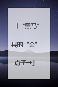 “黑马”县的“金”点子→
