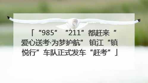 “985”“211”都赶来“爱心送考·为梦护航” 镇江“镇悦行”车队正式发车“赶考”