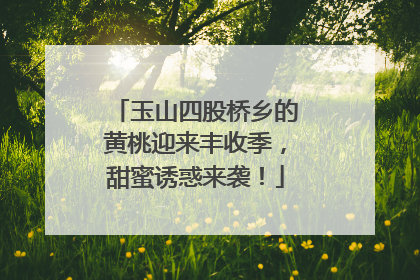 玉山四股桥乡的黄桃迎来丰收季，甜蜜诱惑来袭！