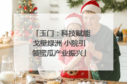 玉门：科技赋能戈壁绿洲 小院引领蜜瓜产业振兴