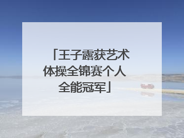 王子露获艺术体操全锦赛个人全能冠军
