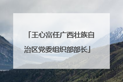 王心富任广西壮族自治区党委组织部部长