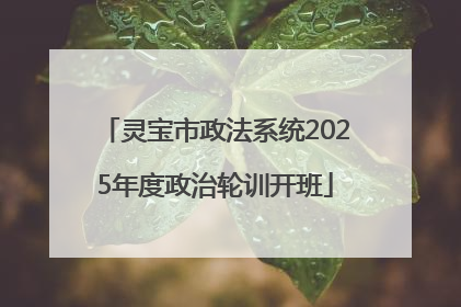 灵宝市政法系统2025年度政治轮训开班