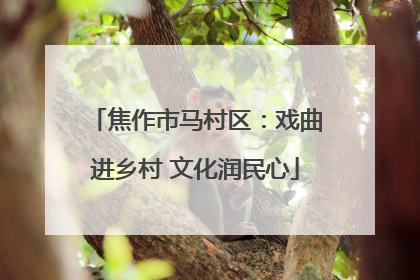 焦作市马村区：戏曲进乡村 文化润民心