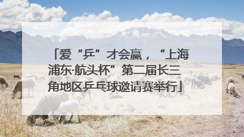 爱“乒”才会赢，“上海浦东·航头杯”第二届长三角地区乒乓球邀请赛举行