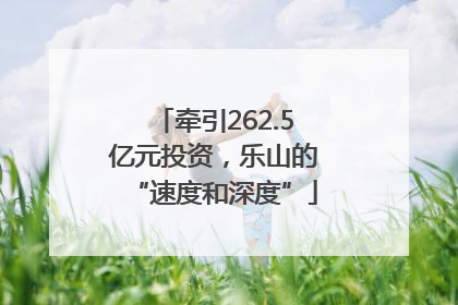 牵引262.5亿元投资，乐山的“速度和深度”