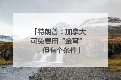 特朗普：加拿大可免费用“金穹”，但有个条件
