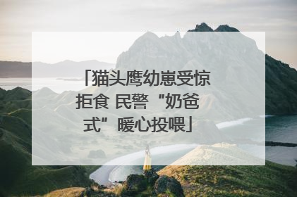 猫头鹰幼崽受惊拒食 民警“奶爸式”暖心投喂