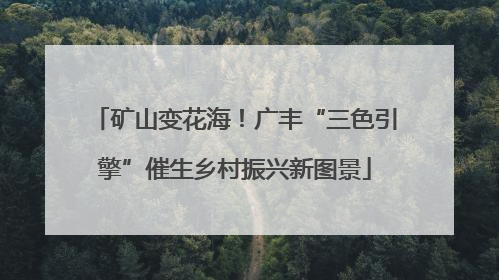 矿山变花海！广丰“三色引擎”催生乡村振兴新图景