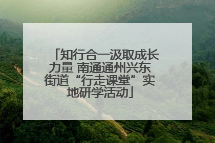 知行合一汲取成长力量 南通通州兴东街道“行走课堂”实地研学活动