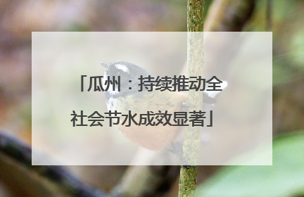 瓜州：持续推动全社会节水成效显著