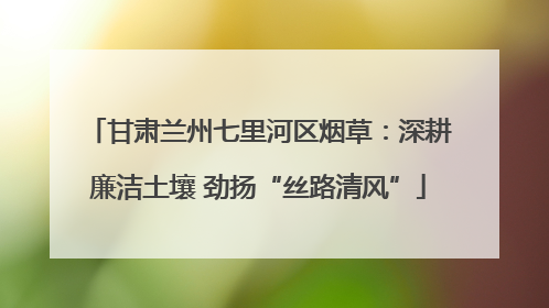 甘肃兰州七里河区烟草：深耕廉洁土壤 劲扬“丝路清风”