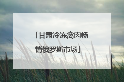 甘肃冷冻禽肉畅销俄罗斯市场