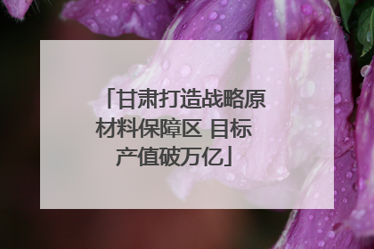 甘肃打造战略原材料保障区 目标产值破万亿