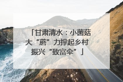 甘肃清水：小菌菇大“蘑”力撑起乡村振兴“致富伞”