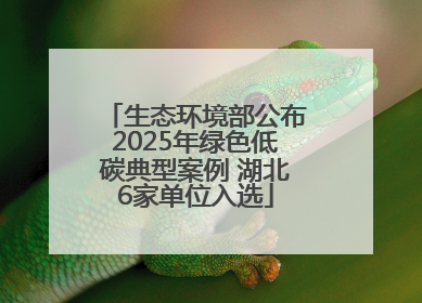 生态环境部公布2025年绿色低碳典型案例 湖北6家单位入选