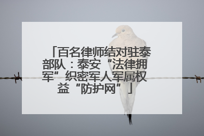 百名律师结对驻泰部队：泰安“法律拥军”织密军人军属权益“防护网”