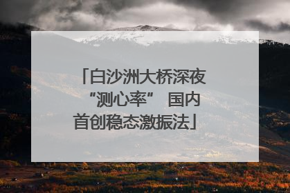 白沙洲大桥深夜“测心率” 国内首创稳态激振法