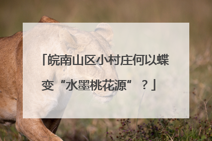皖南山区小村庄何以蝶变“水墨桃花源”？
