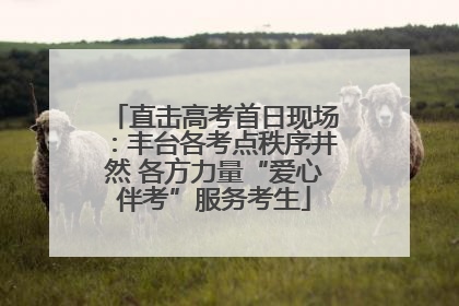 直击高考首日现场：丰台各考点秩序井然 各方力量“爱心伴考”服务考生