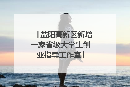 益阳高新区新增一家省级大学生创业指导工作室