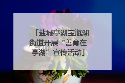 盐城亭湖宝瓶湖街道开展“善育在亭湖”宣传活动