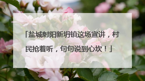 盐城射阳新坍镇这场宣讲，村民抢着听，句句说到心坎！