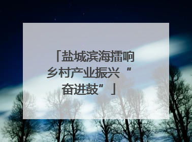 盐城滨海擂响乡村产业振兴“奋进鼓”