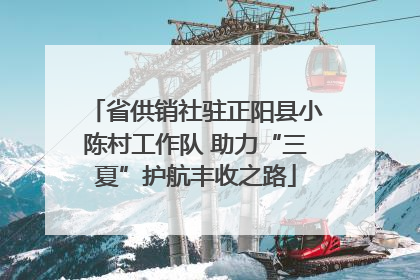 省供销社驻正阳县小陈村工作队 助力“三夏”护航丰收之路