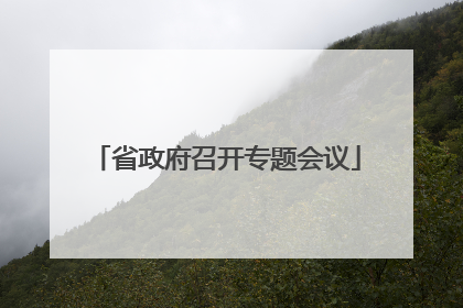 省政府召开专题会议