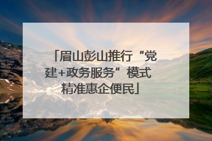 眉山彭山推行“党建+政务服务”模式 精准惠企便民