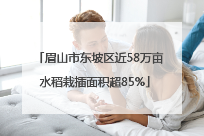 眉山市东坡区近58万亩水稻栽插面积超85%