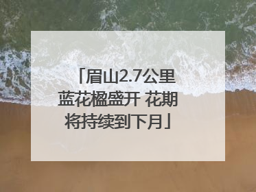 眉山2.7公里蓝花楹盛开 花期将持续到下月