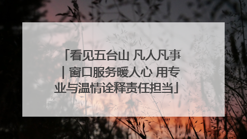 看见五台山 凡人凡事｜窗口服务暖人心 用专业与温情诠释责任担当