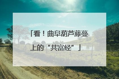看！曲阜葫芦藤蔓上的“共富经”