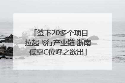 签下20多个项目 拉起飞行产业链 浙南低空C位呼之欲出
