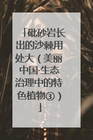 砒砂岩长出的沙棘用处大（美丽中国·生态治理中的特色植物③）