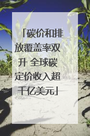 碳价和排放覆盖率双升 全球碳定价收入超千亿美元