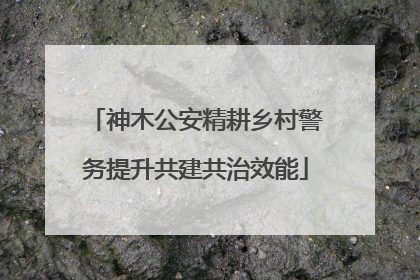 神木公安精耕乡村警务提升共建共治效能