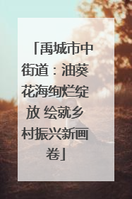 禹城市中街道：油葵花海绚烂绽放 绘就乡村振兴新画卷