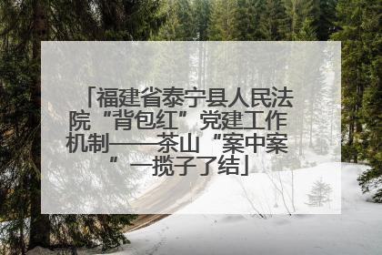 福建省泰宁县人民法院“背包红”党建工作机制——茶山“案中案”一揽子了结