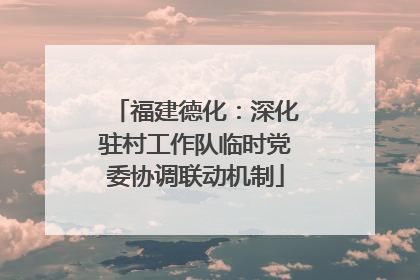 福建德化：深化驻村工作队临时党委协调联动机制