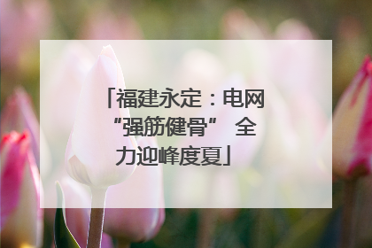 福建永定：电网“强筋健骨” 全力迎峰度夏