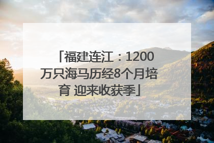 福建连江：1200万只海马历经8个月培育 迎来收获季