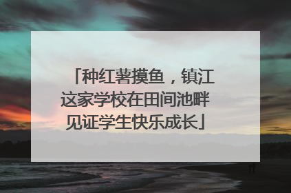 种红薯摸鱼，镇江这家学校在田间池畔见证学生快乐成长