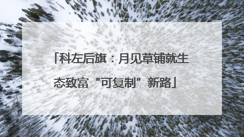 科左后旗：月见草铺就生态致富“可复制”新路