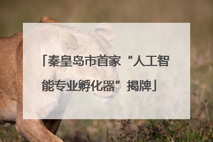 秦皇岛市首家“人工智能专业孵化器”揭牌