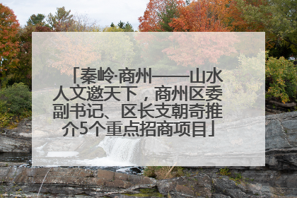 秦岭·商州——山水人文邀天下，商州区委副书记、区长支朝奇推介5个重点招商项目