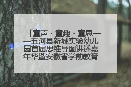 童声・童趣・童思——五河县新城实验幼儿园首届思维导图讲述嘉年华暨安徽省学前教育教研基地园项目阶段性成果展示活动